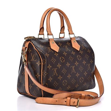 lv speedy organiser|Louis Vuitton Speedy 25 Organizer .